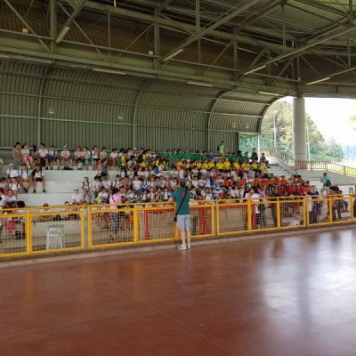 Ginnastica Artistica 19