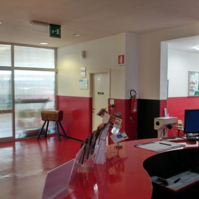 Palestra 14
