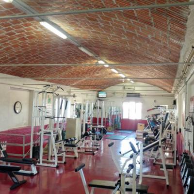 Palestra 15