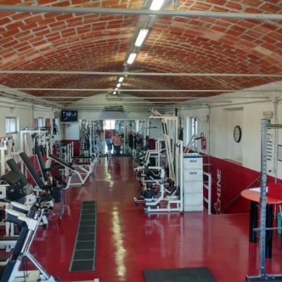 Palestra 19